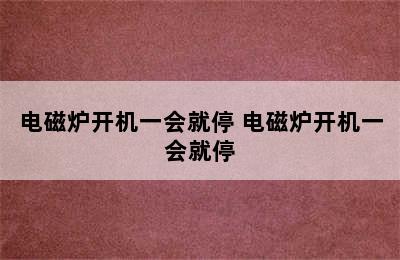 电磁炉开机一会就停 电磁炉开机一会就停